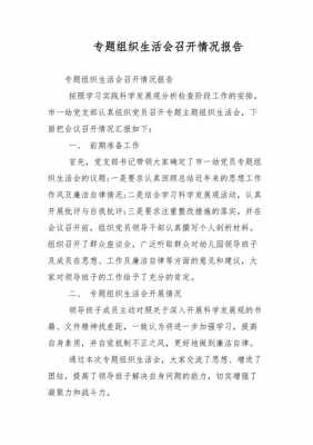 会议召开情况报告怎么写-第1张图片-马瑞范文网