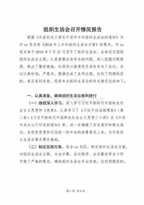 会议召开情况报告怎么写-第2张图片-马瑞范文网