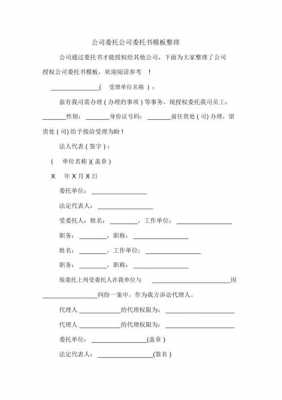 合作签订委托书模板_合作委托书范本-第3张图片-马瑞范文网