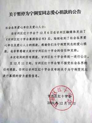 关于募捐通知模板的信息-第2张图片-马瑞范文网