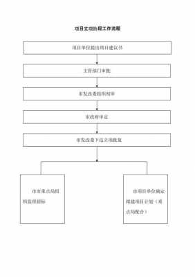 开发项目立项流程图 设立开发立项报告模板-第1张图片-马瑞范文网