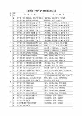 体育学期教学计划模板（体育学期教学计划模板怎么写）-第2张图片-马瑞范文网