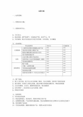 公司运营规划方案 企业运营规划模板-第3张图片-马瑞范文网