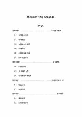 设计策划书模板范文 设计公司策划书模板-第3张图片-马瑞范文网