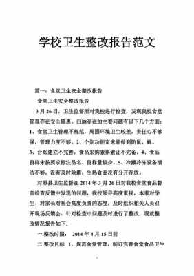 卫生整改报告模板,卫生整改报告模板下载 -第2张图片-马瑞范文网