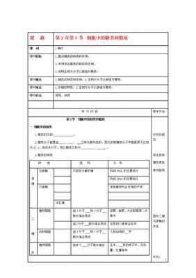 糖类教案的模板解析（糖类 教案）-第2张图片-马瑞范文网