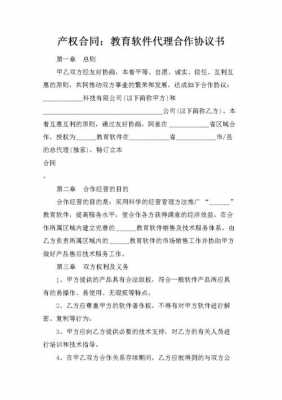 软件代理合同模板,软件代理合作协议 -第2张图片-马瑞范文网