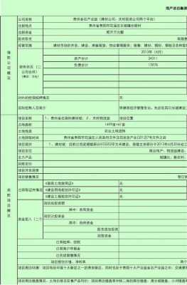 项目融资信息汇总模板-第2张图片-马瑞范文网