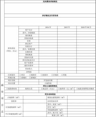 项目融资信息汇总模板-第3张图片-马瑞范文网