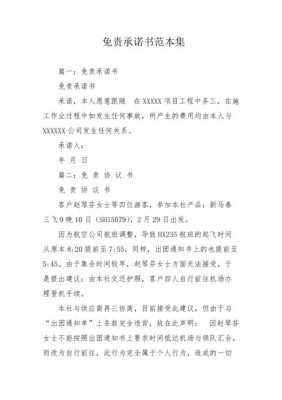 企业免责承诺书模板_免责承诺书格式范文-第1张图片-马瑞范文网