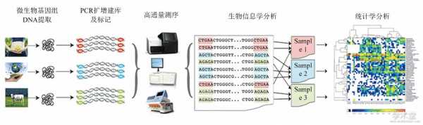 微生物分析法的概念-第3张图片-马瑞范文网