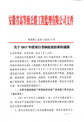 关于公司年度考核发文模板的信息-第3张图片-马瑞范文网