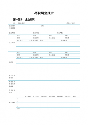 技术方尽职调查模板（技术方尽职调查模板图片）-第1张图片-马瑞范文网