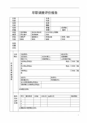 技术方尽职调查模板（技术方尽职调查模板图片）-第3张图片-马瑞范文网