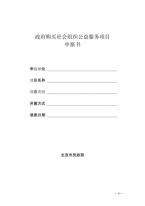 政府购买类项目书模板_政府购买服务项目申报书-第3张图片-马瑞范文网