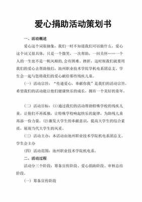 爱心基金实施方案模板的简单介绍-第3张图片-马瑞范文网