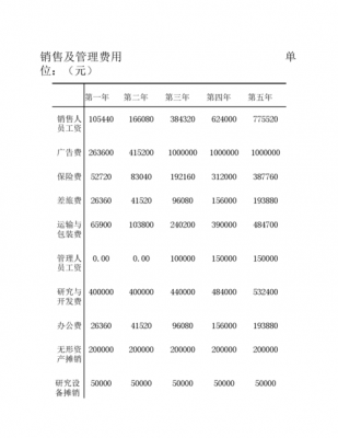 销售预算明细表-第1张图片-马瑞范文网