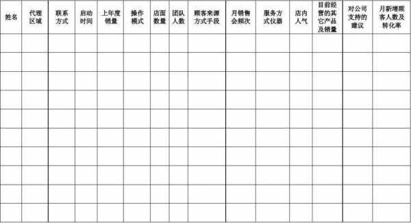 代理商分析表格模板的简单介绍-第3张图片-马瑞范文网