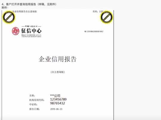 中国人民银行企业信用报告模板_中国人民银行出具的企业信用报告是查什么的-第2张图片-马瑞范文网