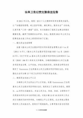 公共卫生自查报告模板下载 公共卫生自查报告模板-第1张图片-马瑞范文网