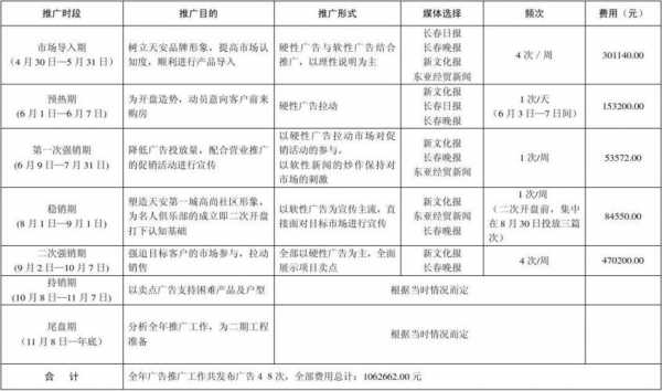 广告计划模板-第3张图片-马瑞范文网