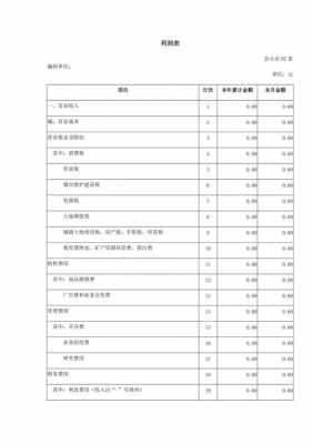 申报系统利润表模板-第2张图片-马瑞范文网