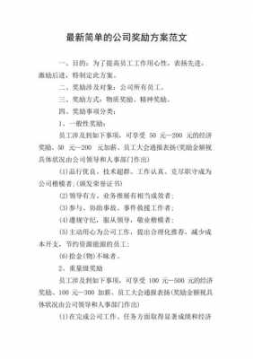 奖励企划书模板（公司奖励计划怎么写）-第1张图片-马瑞范文网