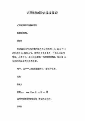 个人辞职报告模板简单_个人辞职书范文-第3张图片-马瑞范文网