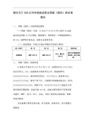 公司贷款报告怎么写-公司贷后报告模板-第3张图片-马瑞范文网