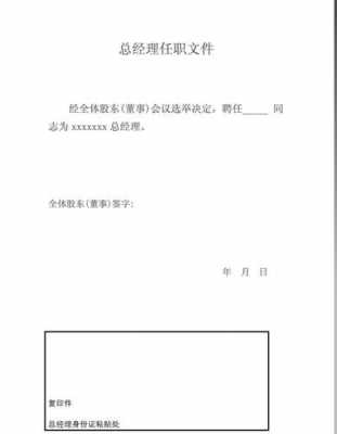 总公司任职书模板（公司总经理任职文件范本）-第3张图片-马瑞范文网