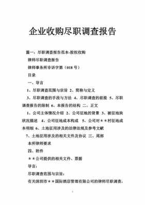 尽职调查报告是什么 尽职调查报告模板最新-第2张图片-马瑞范文网