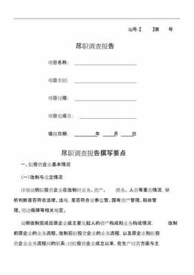 尽职调查报告是什么 尽职调查报告模板最新-第3张图片-马瑞范文网