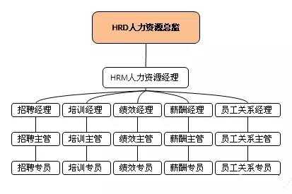 猎头岗位分析报告模板,猎头公司岗位结构图 -第3张图片-马瑞范文网