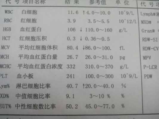 血腥化验单模板,血样化验单怎么看懂讲解 -第2张图片-马瑞范文网