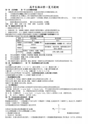 高中生物提纲模板图片,高中生物提纲模板图片素材 -第3张图片-马瑞范文网