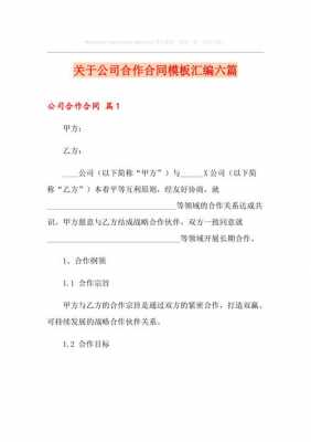 公司和公司合作模板怎么写 公司和公司合作模板-第1张图片-马瑞范文网