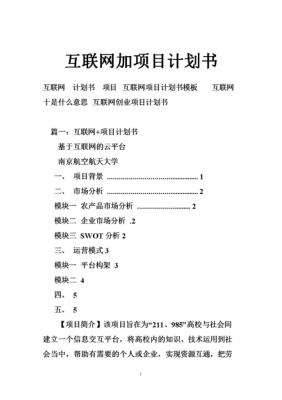 互联网+项目书模板-互联网项目书模板-第1张图片-马瑞范文网