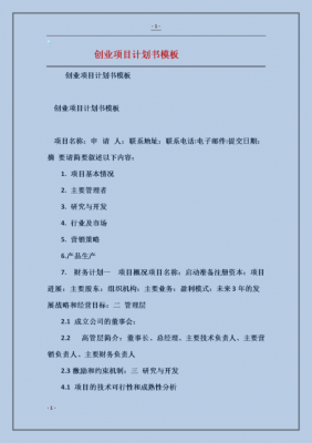 企业项目规划书模板_企业项目规划书范文-第3张图片-马瑞范文网