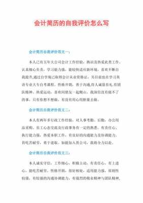 会计工作自我评价200字左右-第3张图片-马瑞范文网