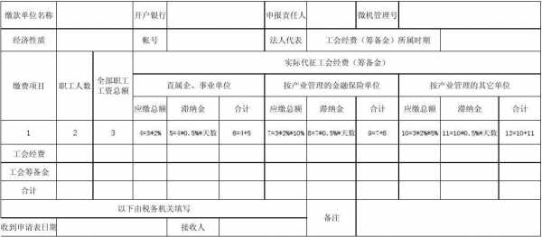 工会报表编制模板（工会报表编制模板怎么写）-第3张图片-马瑞范文网