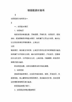 政府项目策划-政府项目计划书模板下载-第3张图片-马瑞范文网