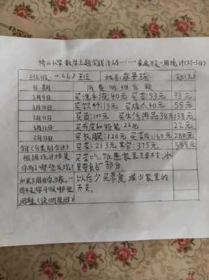 小学生寒假零用钱使用账本模板_小学生零花钱表格式报告-第3张图片-马瑞范文网