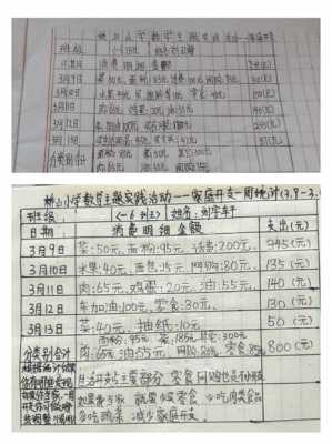 小学生寒假零用钱使用账本模板_小学生零花钱表格式报告-第2张图片-马瑞范文网