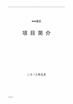 项目简介模板300字,项目简介怎么写300字 -第3张图片-马瑞范文网