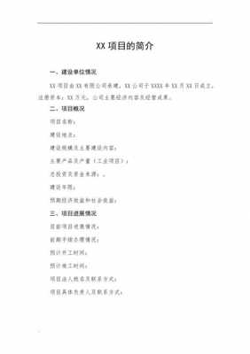 项目简介模板300字,项目简介怎么写300字 -第2张图片-马瑞范文网