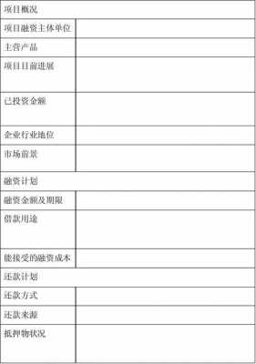 融资用途表格-融资资金用途说明模板-第3张图片-马瑞范文网