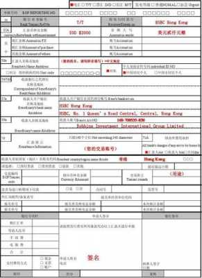  外汇退回申请书模板「外汇退回申请书模板怎么写」-第3张图片-马瑞范文网