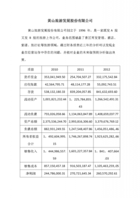 2016财务报表全套模板_2016年财务报表分析真题及答案-第1张图片-马瑞范文网