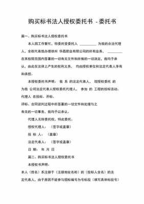 法人授权购买标书模板_法人投标的授权委托书怎么写-第2张图片-马瑞范文网