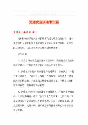 出行安全承诺书模板下载 出行安全承诺书模板-第3张图片-马瑞范文网